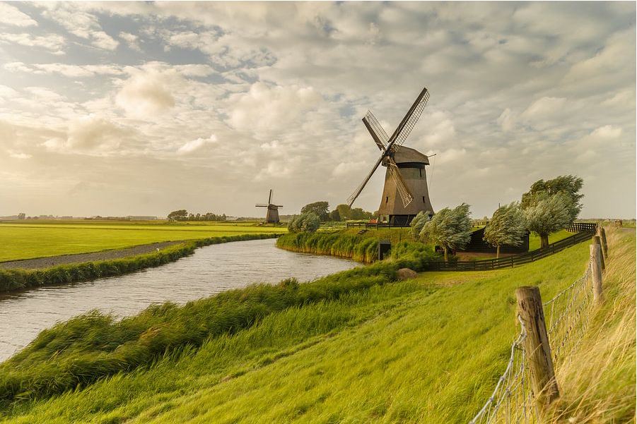 Zomer expositie